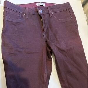 Coated Finish Dark Purple Dyed Skinny Pants